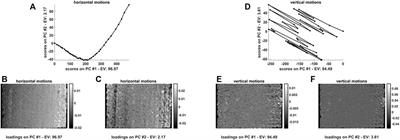 Hyperspectral Video Analysis by Motion and Intensity Preprocessing and Subspace Autoencoding